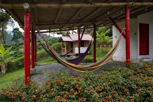 Hacienda Venecia Hostel